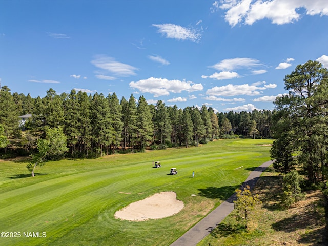 2450 N Earle Dr, Flagstaff, AZ 86004 - photo 32