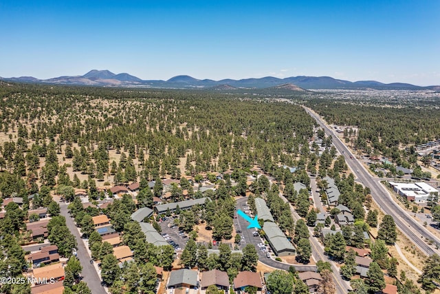 6401 N Saint Nicholas Cir Unit 6, Flagstaff, AZ 86004 - photo 36