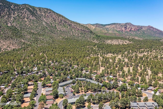 6401 N Saint Nicholas Cir Unit 6, Flagstaff, AZ 86004 - photo 33