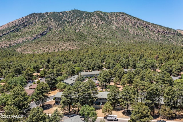 6401 N Saint Nicholas Cir Unit 6, Flagstaff, AZ 86004 - photo 35