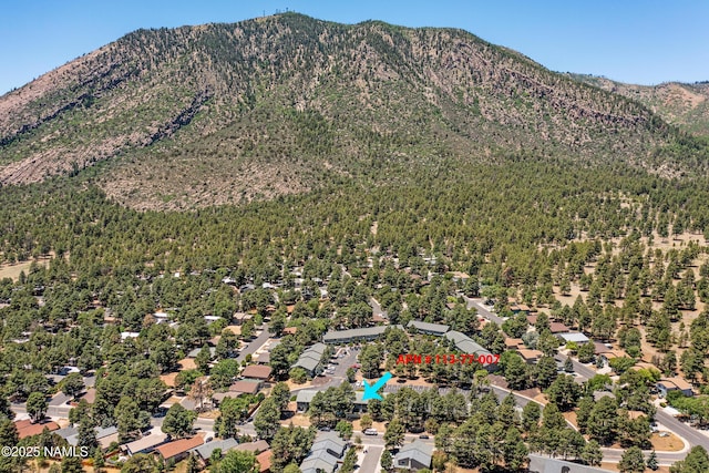 6401 N Saint Nicholas Cir Unit 6, Flagstaff, AZ 86004 - photo 32