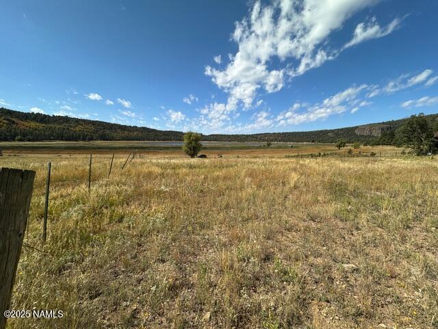 76 Lakeview Ct, Stoneman Lake, AZ 86038 - photo 10