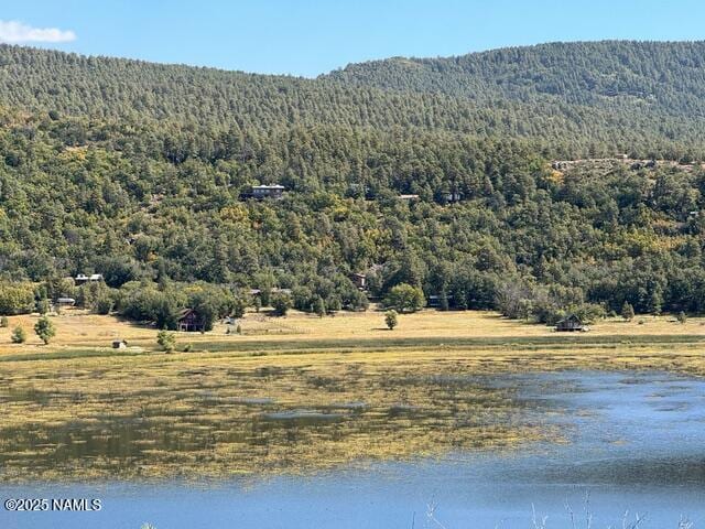 76 Lakeview Ct, Stoneman Lake, AZ 86038 - photo 12