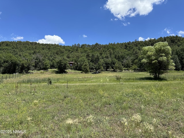 76 Lakeview Ct, Stoneman Lake, AZ 86038 - photo 1