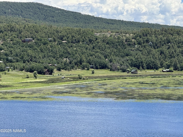 76 Lakeview Ct, Stoneman Lake, AZ 86038 - photo 4