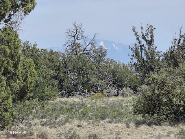 913 S Kaibab Rd, Williams, AZ 86046