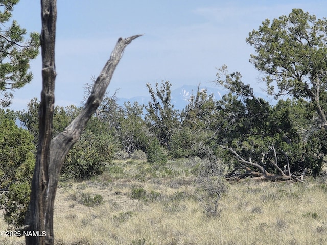 913 S Kaibab Rd, Williams, AZ 86046