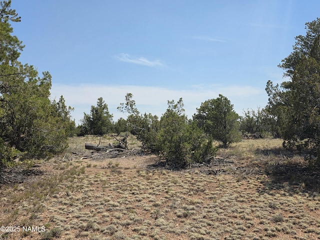 913 S Kaibab Rd, Williams, AZ 86046