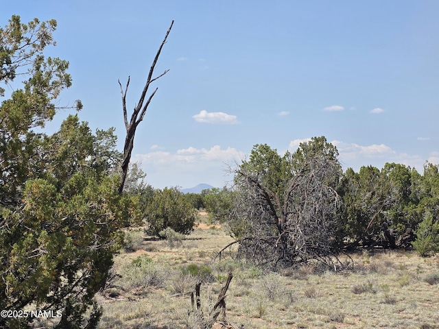 913 S Kaibab Rd, Williams, AZ 86046
