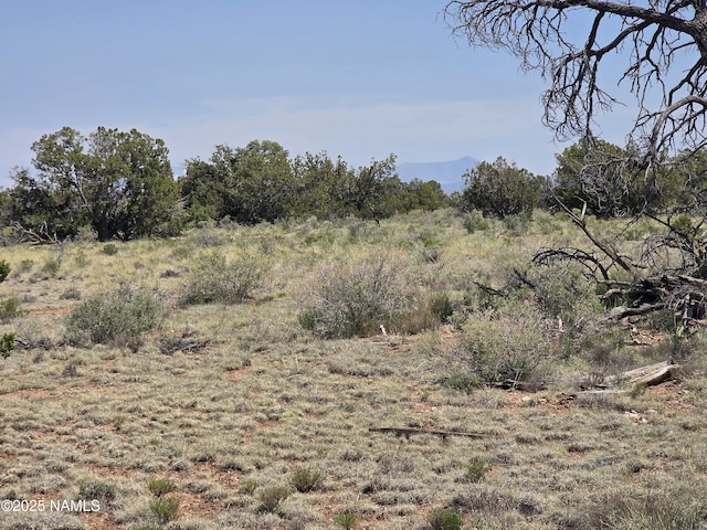 913 S Kaibab Rd, Williams, AZ 86046