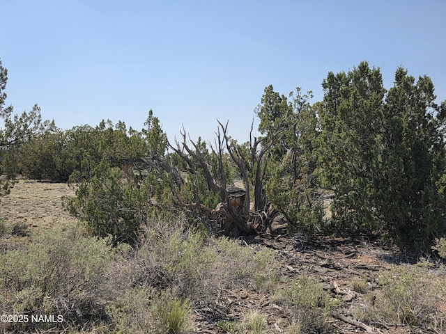 913 S Kaibab Rd, Williams, AZ 86046