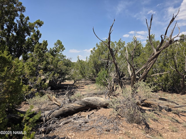 913 S Kaibab Rd, Williams, AZ 86046