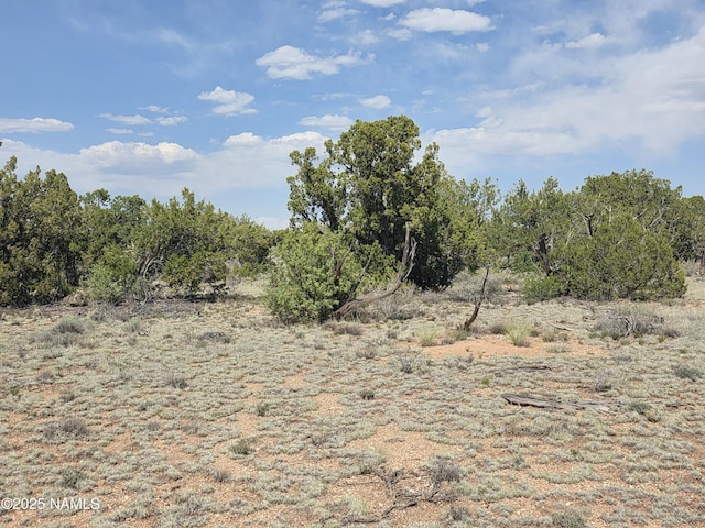 913 S Kaibab Rd, Williams, AZ 86046