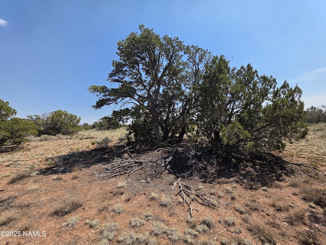 913 S Kaibab Rd, Williams, AZ 86046