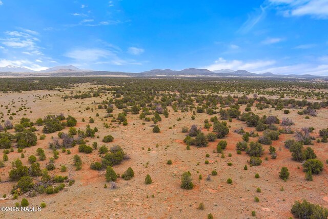 8449 E Water Tank Cir Unit A, Williams, AZ 86046