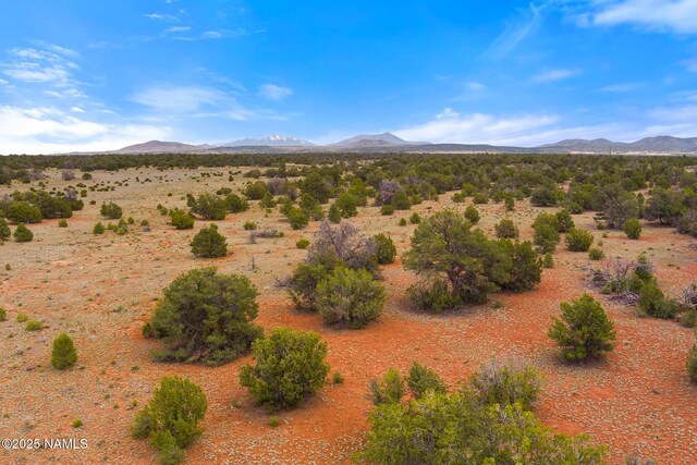 8449 E Water Tank Cir Unit A, Williams, AZ 86046