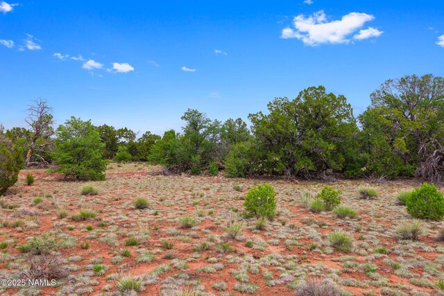 8449 E Water Tank Cir Unit A, Williams, AZ 86046