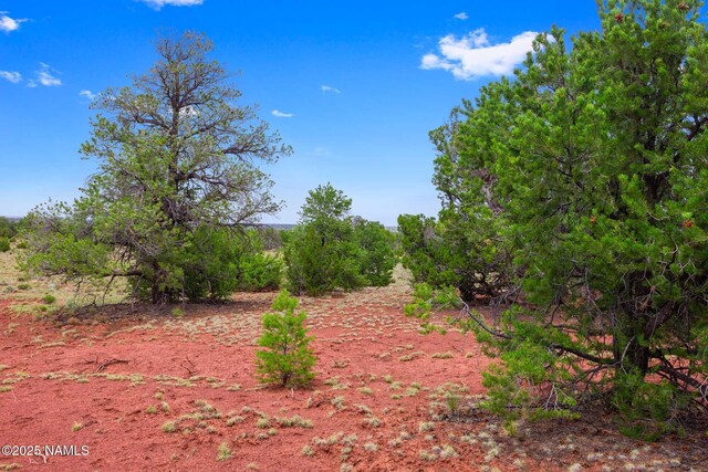 8449 E Water Tank Cir Unit A, Williams, AZ 86046