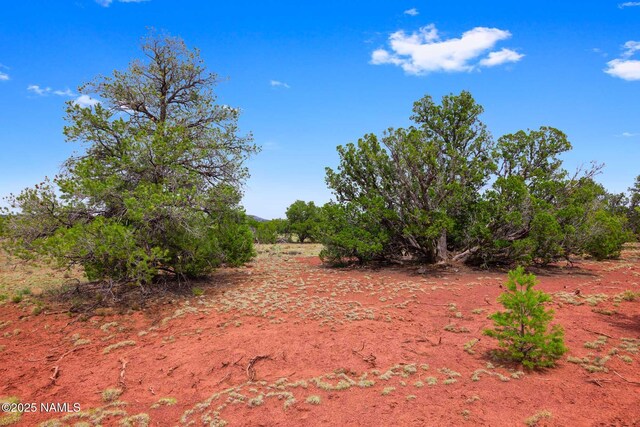 8449 E Water Tank Cir Unit A, Williams, AZ 86046