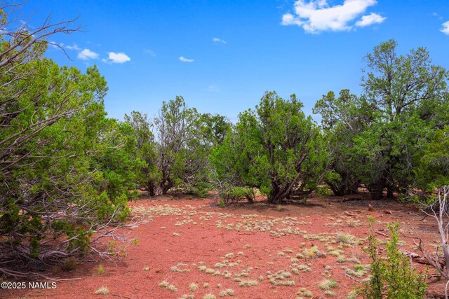 8449 E Water Tank Cir Unit A, Williams, AZ 86046