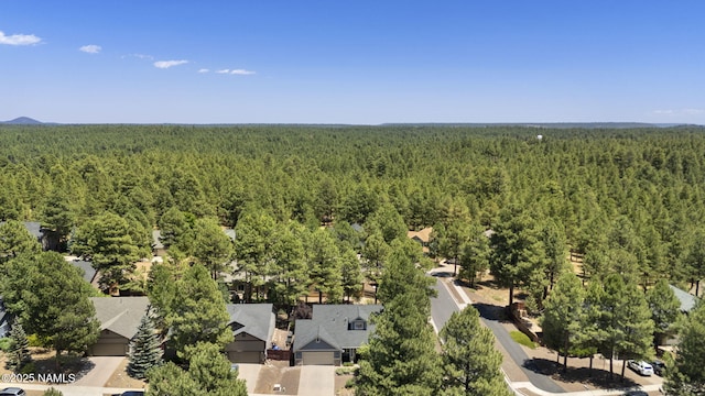 4820 S Bright Angel Trl, Flagstaff, AZ 86005 - photo 42