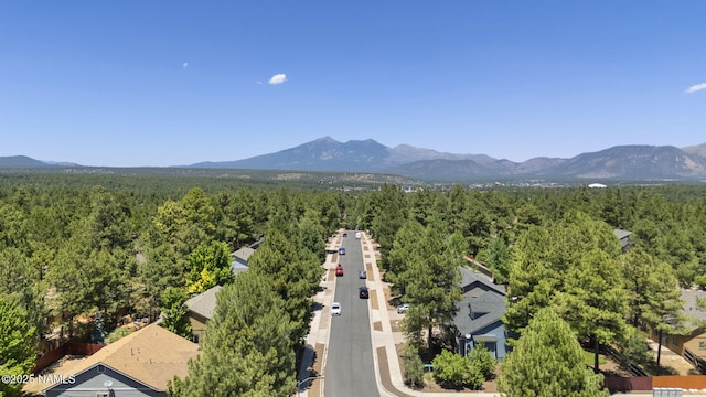 4820 S Bright Angel Trl, Flagstaff, AZ 86005 - photo 41