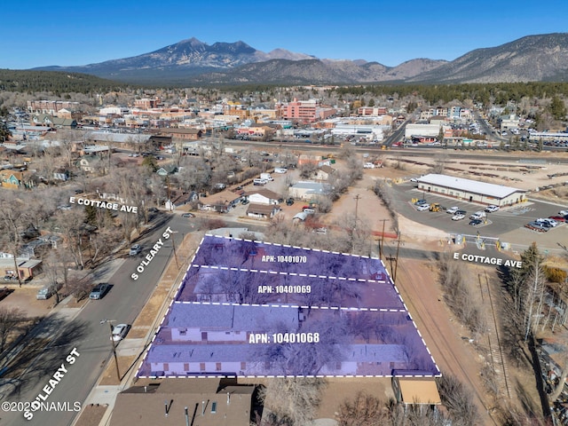 aerial view with a mountain view