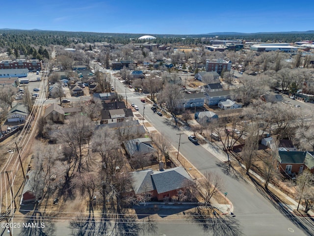 bird's eye view