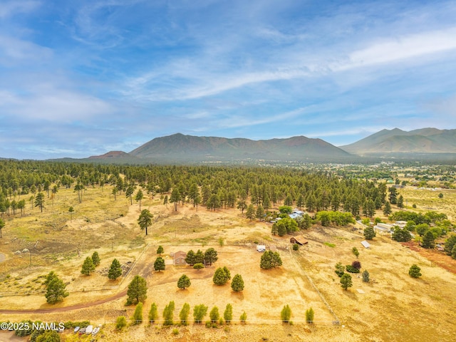 7855 Fawn Run Rd, Flagstaff, AZ 86004 - photo 33