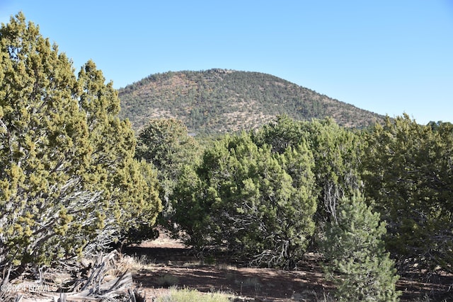 2394 E Clear Point Way Unit 58, Williams AZ, 86046 land for sale