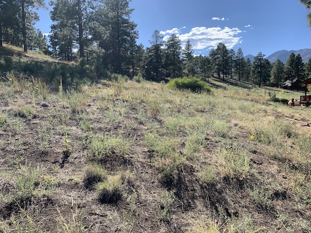 11668 N Rope Arabian Rd Unit 2, Flagstaff, AZ 86004