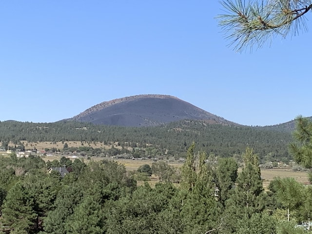 11668 N Rope Arabian Rd Unit 2, Flagstaff, AZ 86004