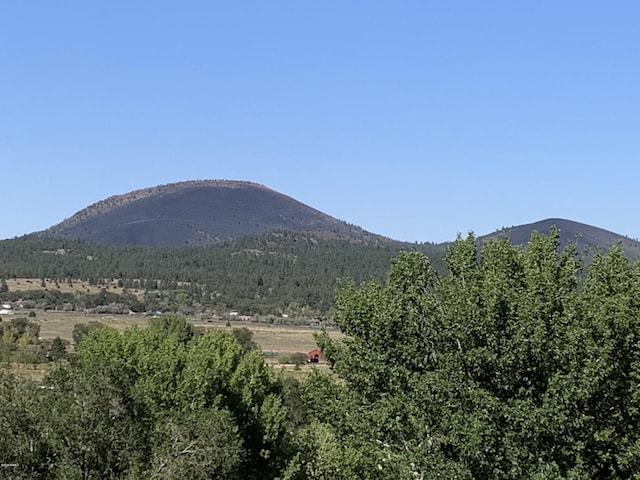 11668 N Rope Arabian Rd Unit 2, Flagstaff, AZ 86004