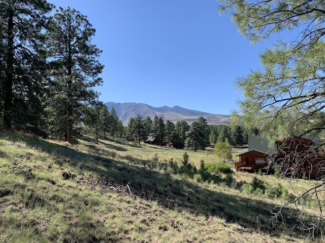 11668 N Rope Arabian Rd Unit 2, Flagstaff, AZ 86004