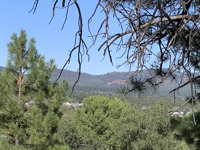 11668 N Rope Arabian Rd Unit 2, Flagstaff, AZ 86004