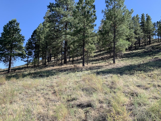 11668 N Rope Arabian Rd Unit 2, Flagstaff, AZ 86004