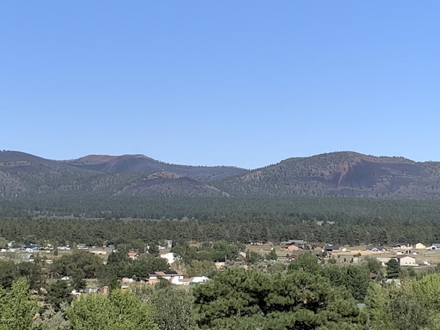 11668 N Rope Arabian Rd Unit 2, Flagstaff, AZ 86004