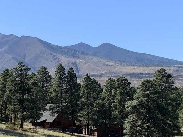 11668 N Rope Arabian Rd Unit 2, Flagstaff, AZ 86004