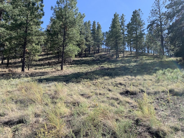 11668 N Rope Arabian Rd Unit 2, Flagstaff, AZ 86004