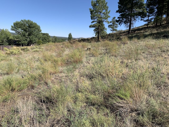 11668 N Rope Arabian Rd Unit 2, Flagstaff, AZ 86004