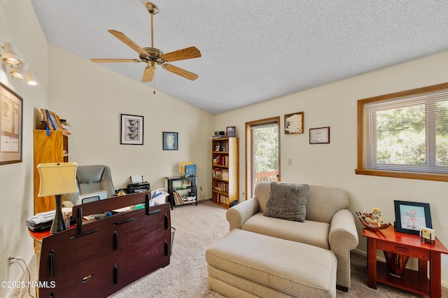 3987 N Swiss Rd, Flagstaff, AZ 86004 - photo 28