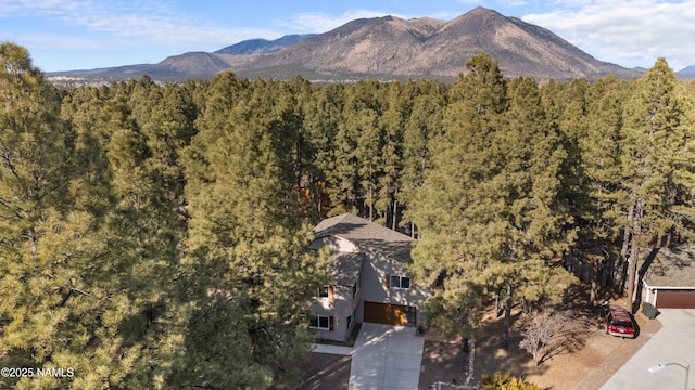 1420 N Royal Oaks Way, Flagstaff, AZ 86004 - view of mountain background featuring a heavily wooded area