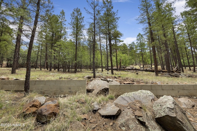 810 N Turquoise Dr, Flagstaff, AZ 86001 - photo 38