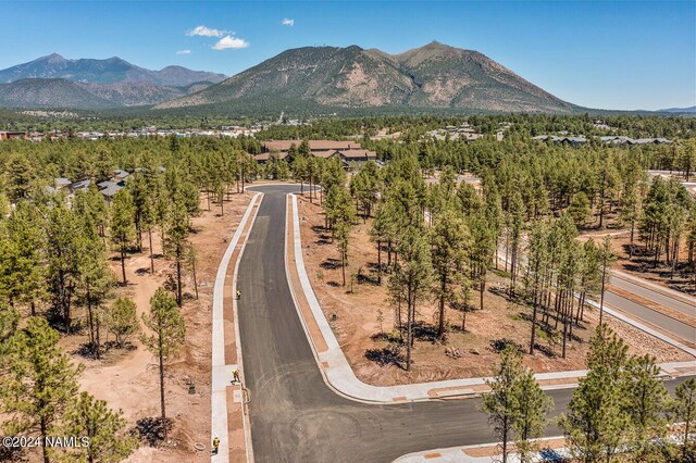 483 N Valerian Ln Lot 15, Flagstaff, AZ 86004 - photo 3