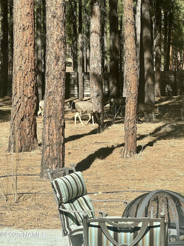 5070 N Weatherford Rd, Flagstaff, AZ 86001 - view of yard