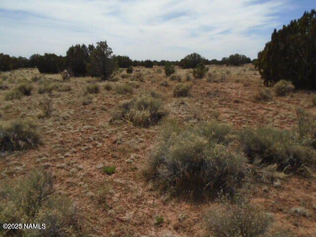 3435 E Valencia Rd, Williams, AZ 86046