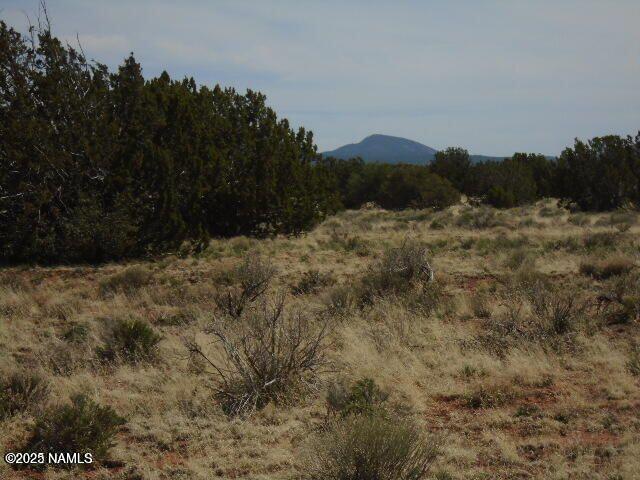 3435 E Valencia Rd, Williams, AZ 86046
