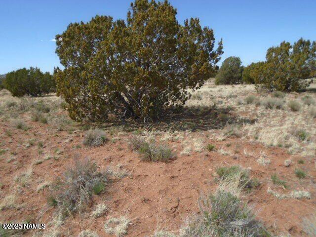 3435 E Valencia Rd, Williams, AZ 86046