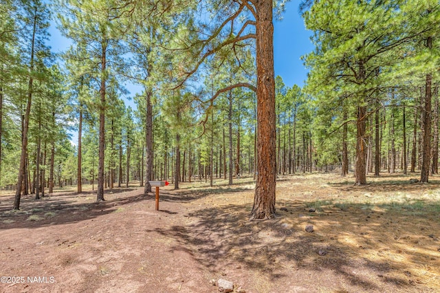 1533 S Minstrel Ln, Williams, AZ 86046 - photo 54