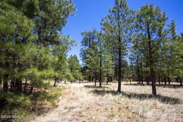 5330 N Nordica Loop, Flagstaff, AZ 86004